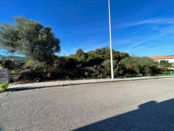 casa indipendente in vendita a Loiri Porto San Paolo