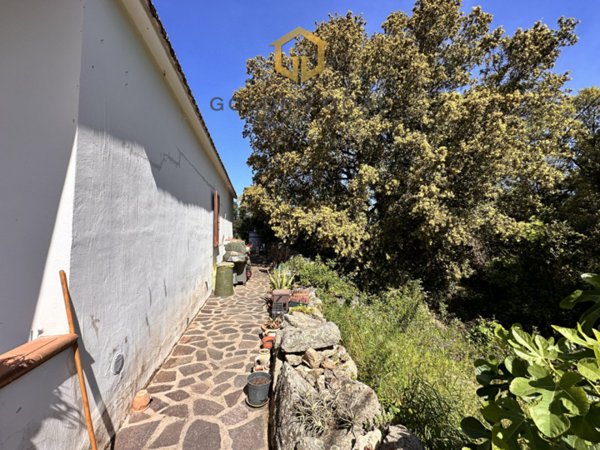 casa indipendente in vendita a Loiri Porto San Paolo