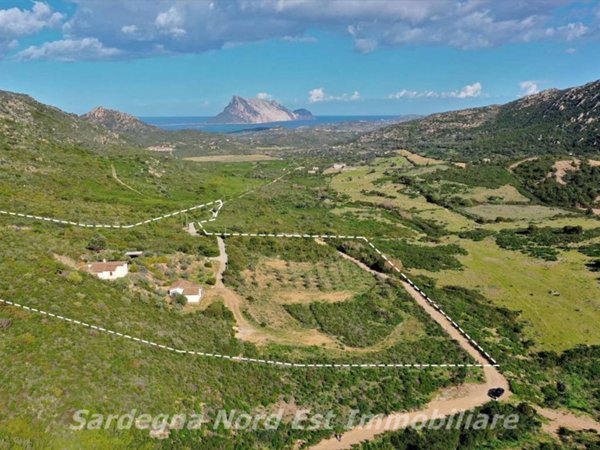 casa indipendente in vendita a Loiri Porto San Paolo