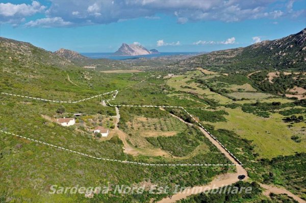 casa indipendente in vendita a Loiri Porto San Paolo