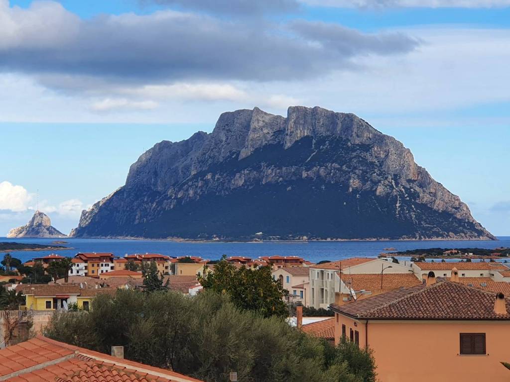 casa indipendente in vendita a Loiri Porto San Paolo