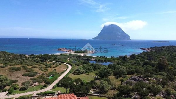 appartamento in vendita a Loiri Porto San Paolo