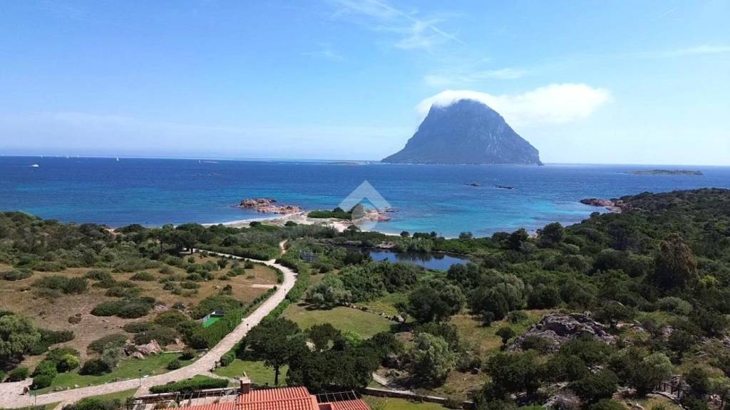 appartamento in vendita a Loiri Porto San Paolo