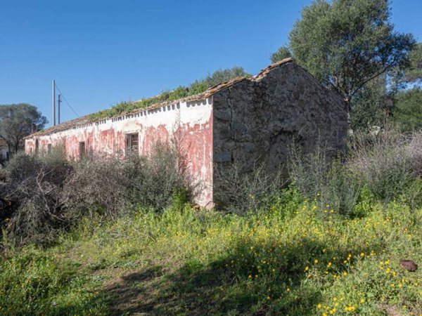 esavano in vendita a Loiri Porto San Paolo