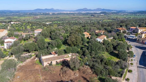 esavano in vendita a Loiri Porto San Paolo