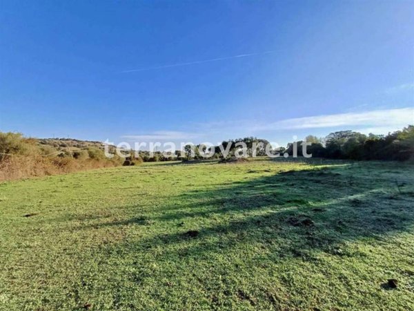 terreno agricolo in vendita a Loiri Porto San Paolo in zona Enas
