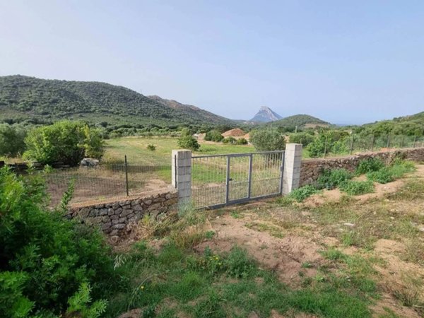 terreno agricolo in vendita a Loiri Porto San Paolo in zona Vaccileddi.