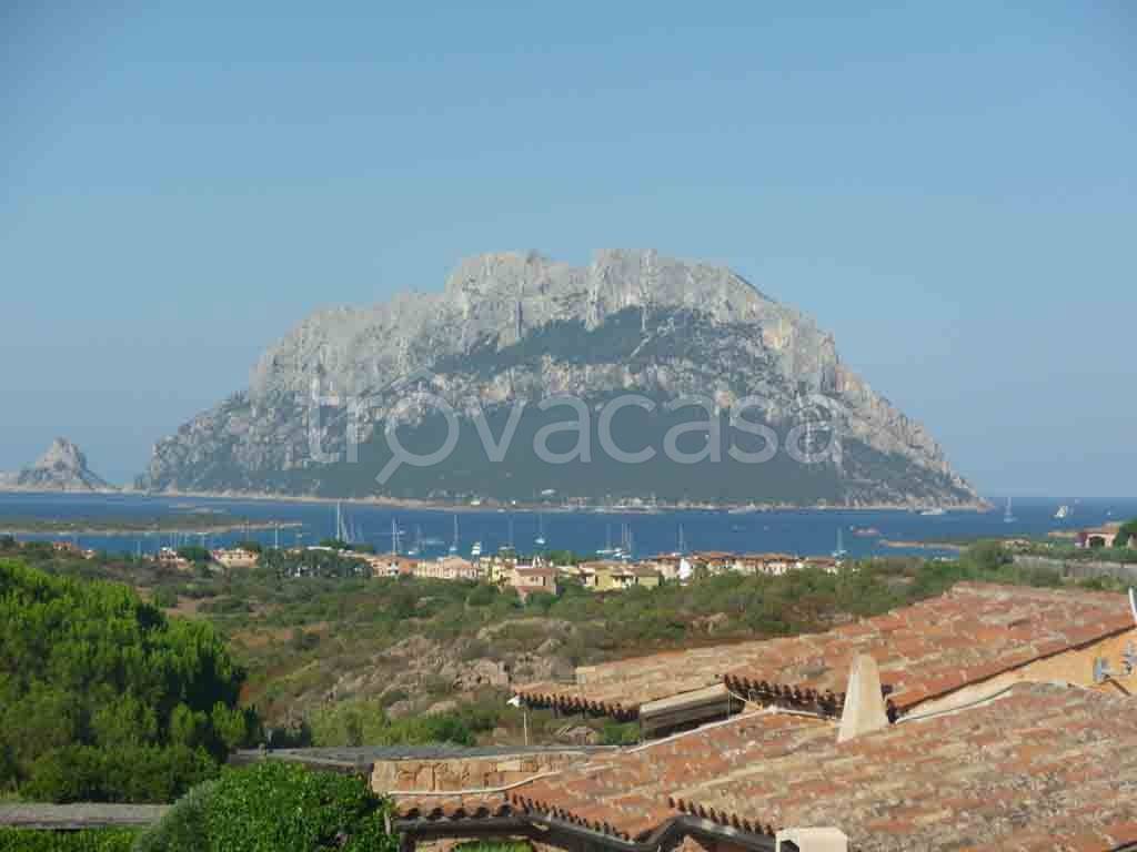 appartamento in vendita a Loiri Porto San Paolo