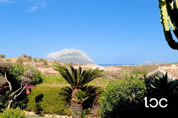 casa indipendente in vendita a Loiri Porto San Paolo
