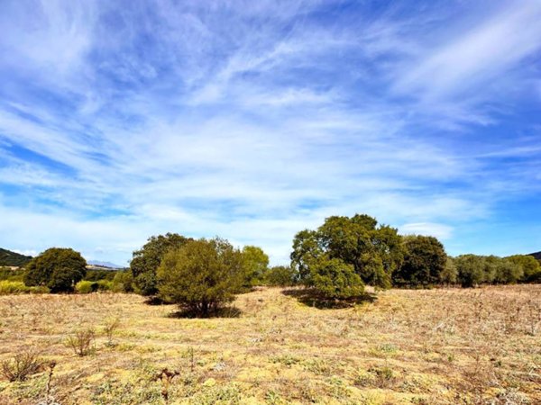 terreno agricolo in vendita a Loiri Porto San Paolo in zona Trudda