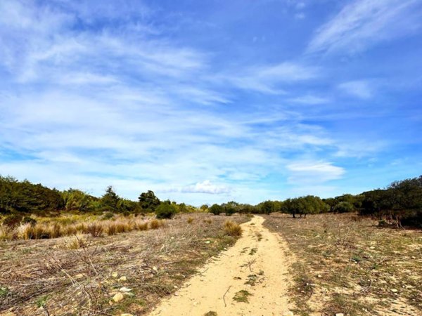 terreno agricolo in vendita a Loiri Porto San Paolo in zona Trudda