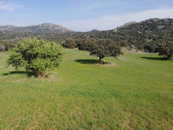 terreno agricolo in vendita a Loiri Porto San Paolo