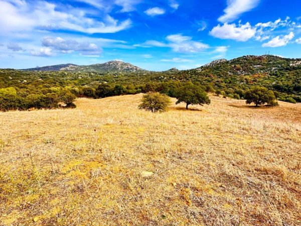terreno agricolo in vendita a Loiri Porto San Paolo in zona Trudda