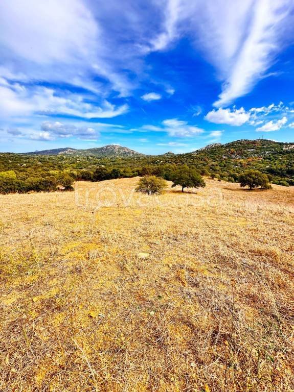 terreno agricolo in vendita a Loiri Porto San Paolo