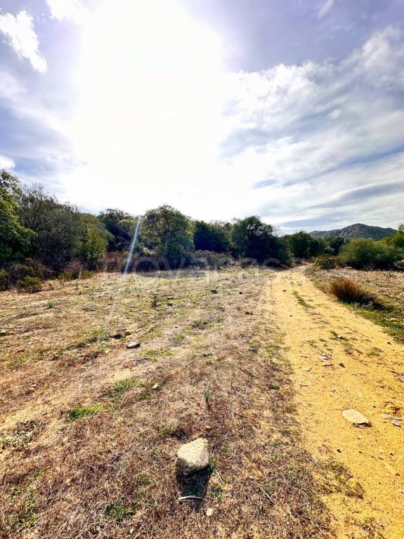 rudere in vendita a Loiri Porto San Paolo in zona Trudda