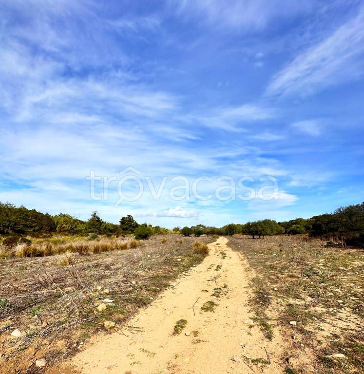 immagine annuncio 0 di 15