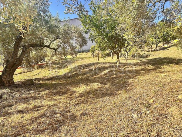 terreno agricolo in vendita a Loiri Porto San Paolo in zona Trudda