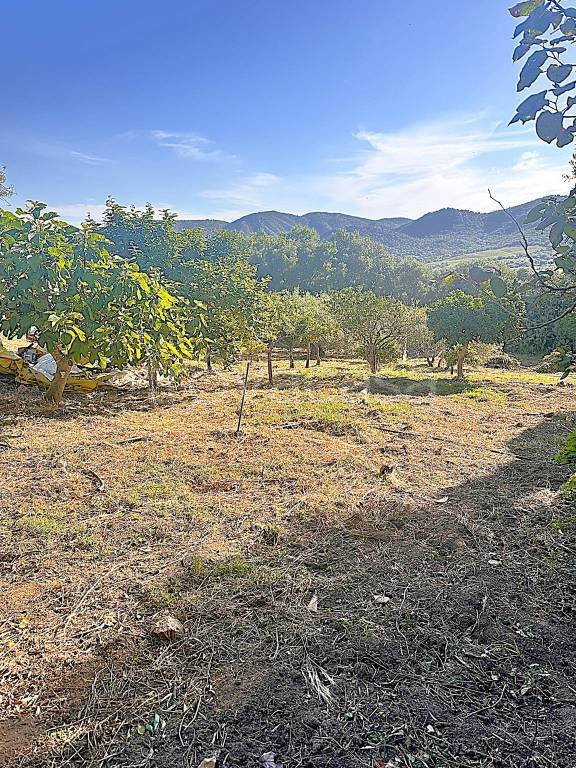 terreno agricolo in vendita a Loiri Porto San Paolo in zona Trudda