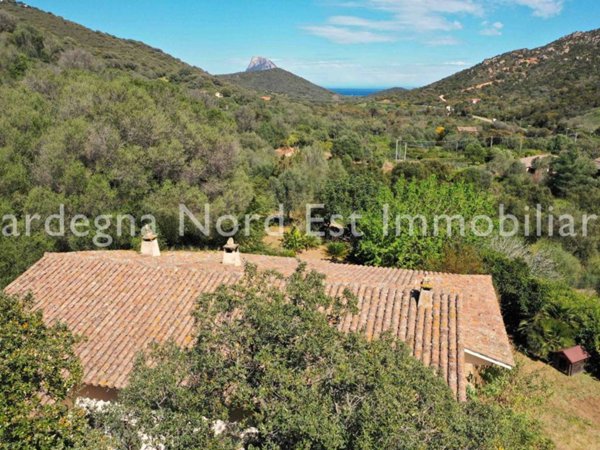 casa indipendente in vendita a Loiri Porto San Paolo
