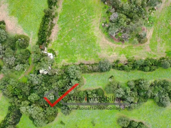 terreno agricolo in vendita a Loiri Porto San Paolo in zona Enas