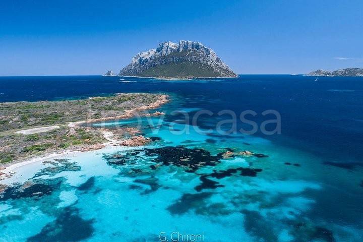 appartamento in vendita a Loiri Porto San Paolo