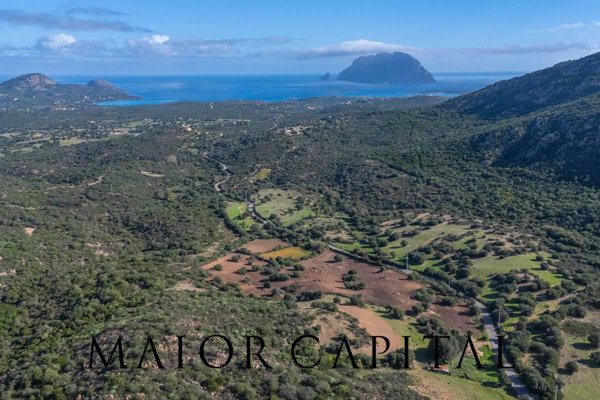terreno agricolo in vendita a Loiri Porto San Paolo