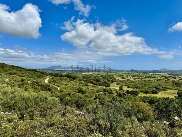 terreno agricolo in vendita a Loiri Porto San Paolo