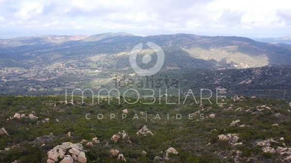 terreno agricolo in vendita a Loiri Porto San Paolo