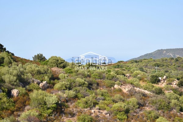 terreno agricolo in vendita a Loiri Porto San Paolo in zona Trudda