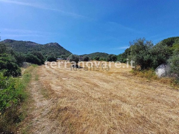 terreno agricolo in vendita a Loiri Porto San Paolo in zona Trudda