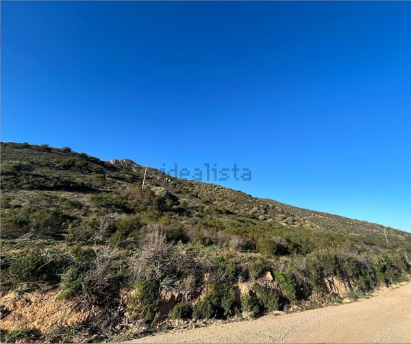 terreno agricolo in vendita a Loiri Porto San Paolo
