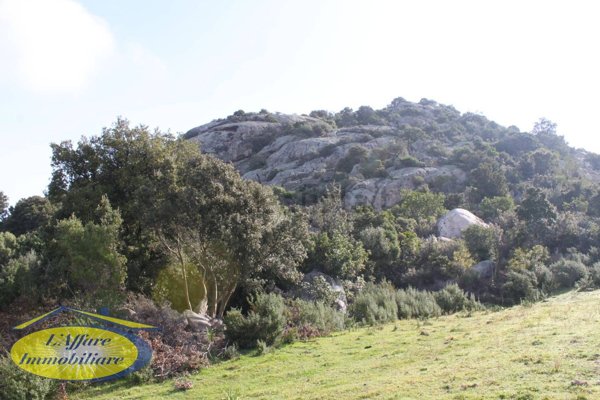 terreno agricolo in vendita a Loiri Porto San Paolo in zona Vaccileddi.