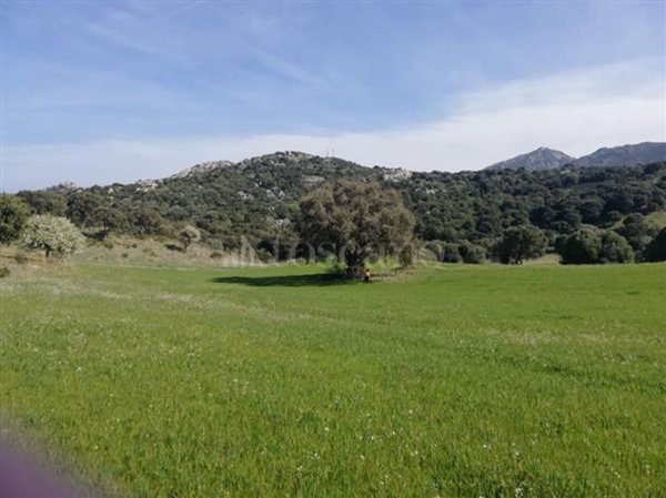 terreno agricolo in vendita a Loiri Porto San Paolo