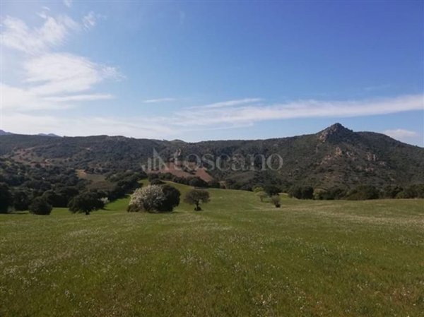 terreno agricolo in vendita a Loiri Porto San Paolo