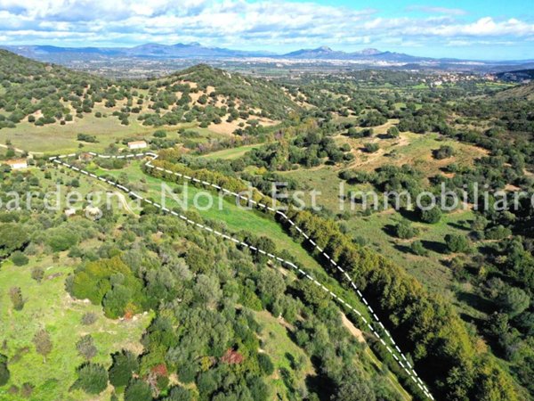 terreno agricolo in vendita a Loiri Porto San Paolo in zona Enas