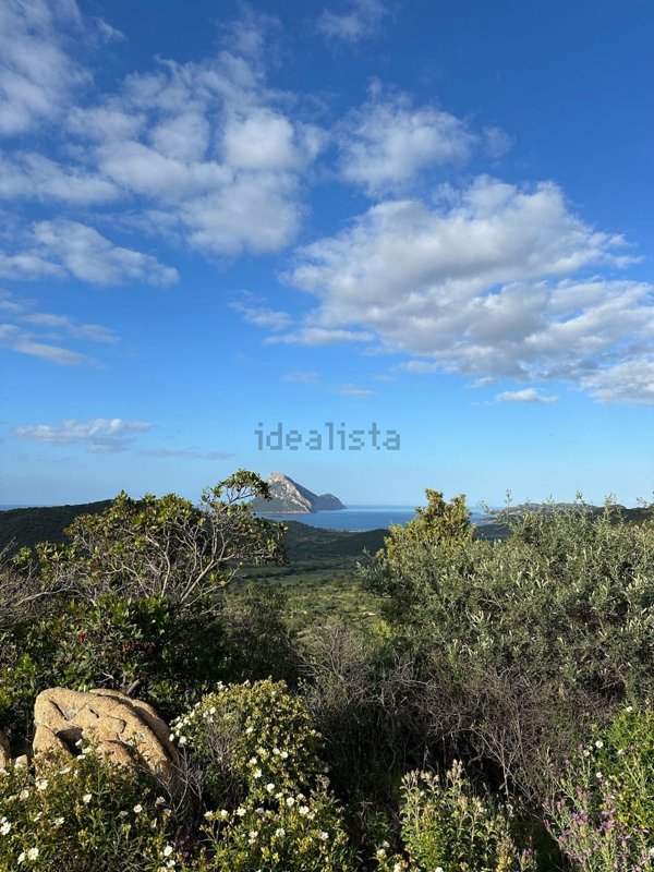terreno agricolo in vendita a Loiri Porto San Paolo