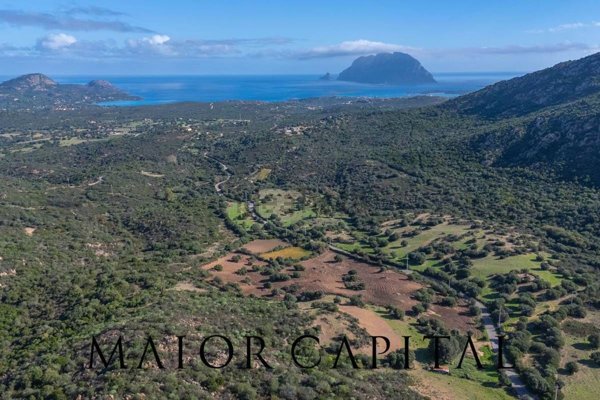 terreno agricolo in vendita a Loiri Porto San Paolo