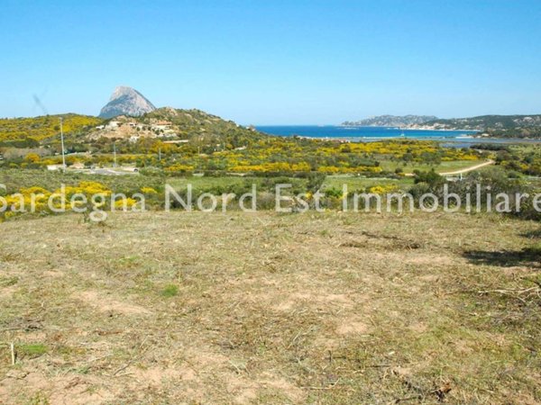terreno agricolo in vendita a Loiri Porto San Paolo