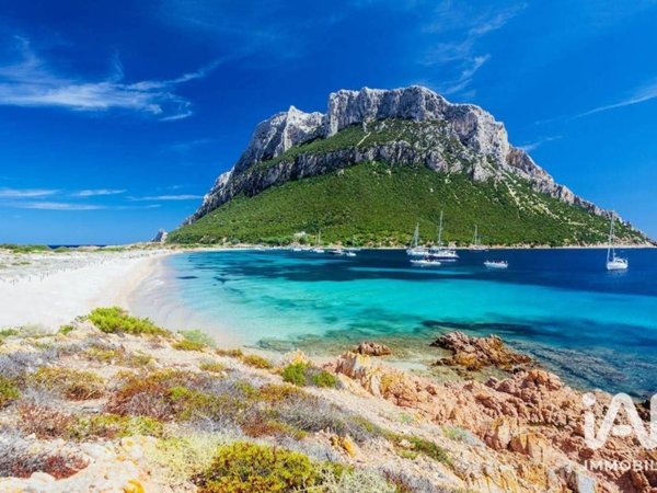 casa indipendente in vendita a Loiri Porto San Paolo