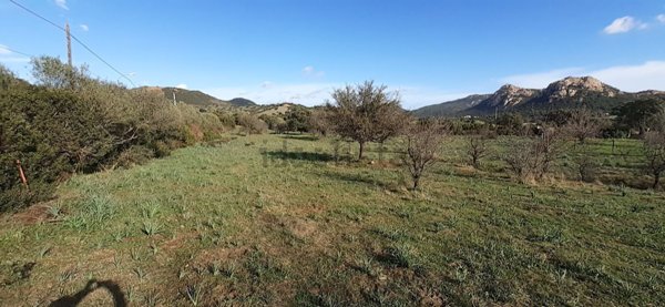 terreno edificabile in vendita a Loiri Porto San Paolo in zona Trudda