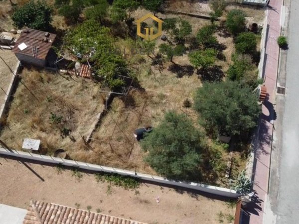 terreno agricolo in vendita a Loiri Porto San Paolo