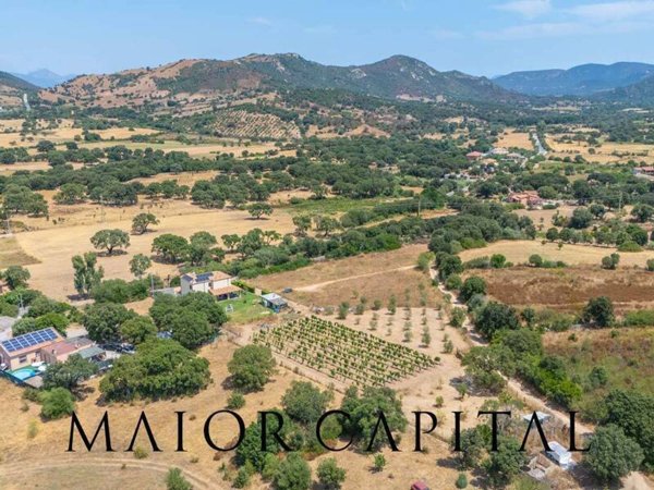 casa indipendente in vendita a Loiri Porto San Paolo