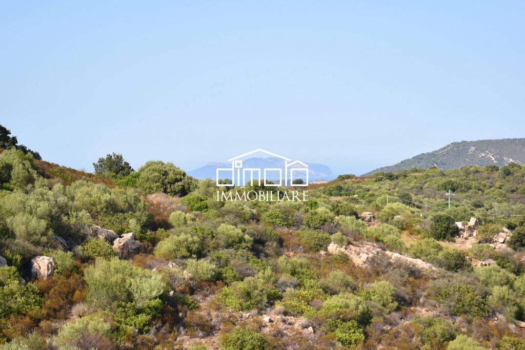 terreno agricolo in vendita a Loiri Porto San Paolo in zona Trudda