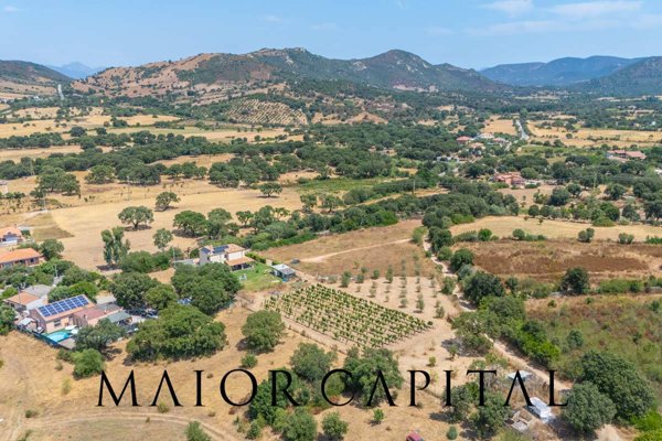 terreno agricolo in vendita a Loiri Porto San Paolo