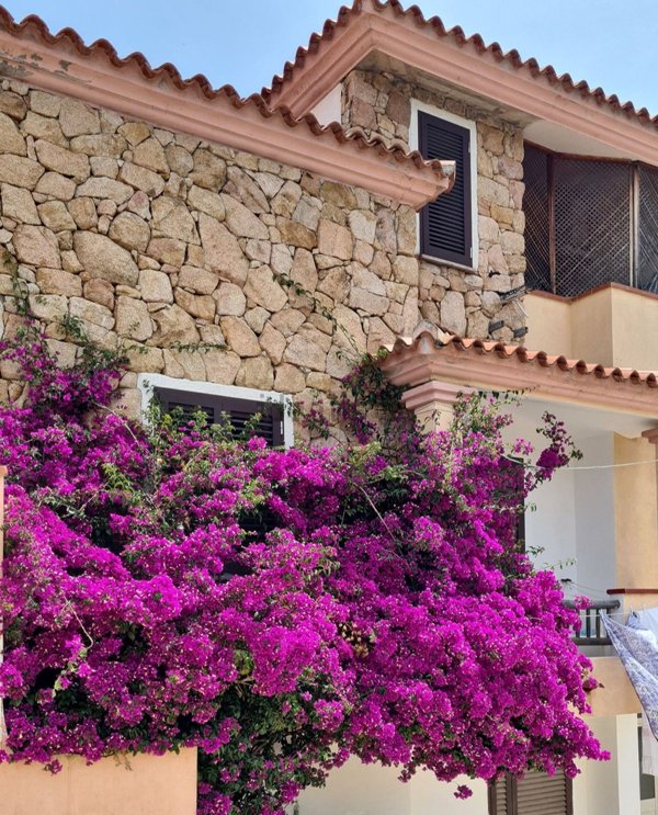 appartamento in vendita a Loiri Porto San Paolo