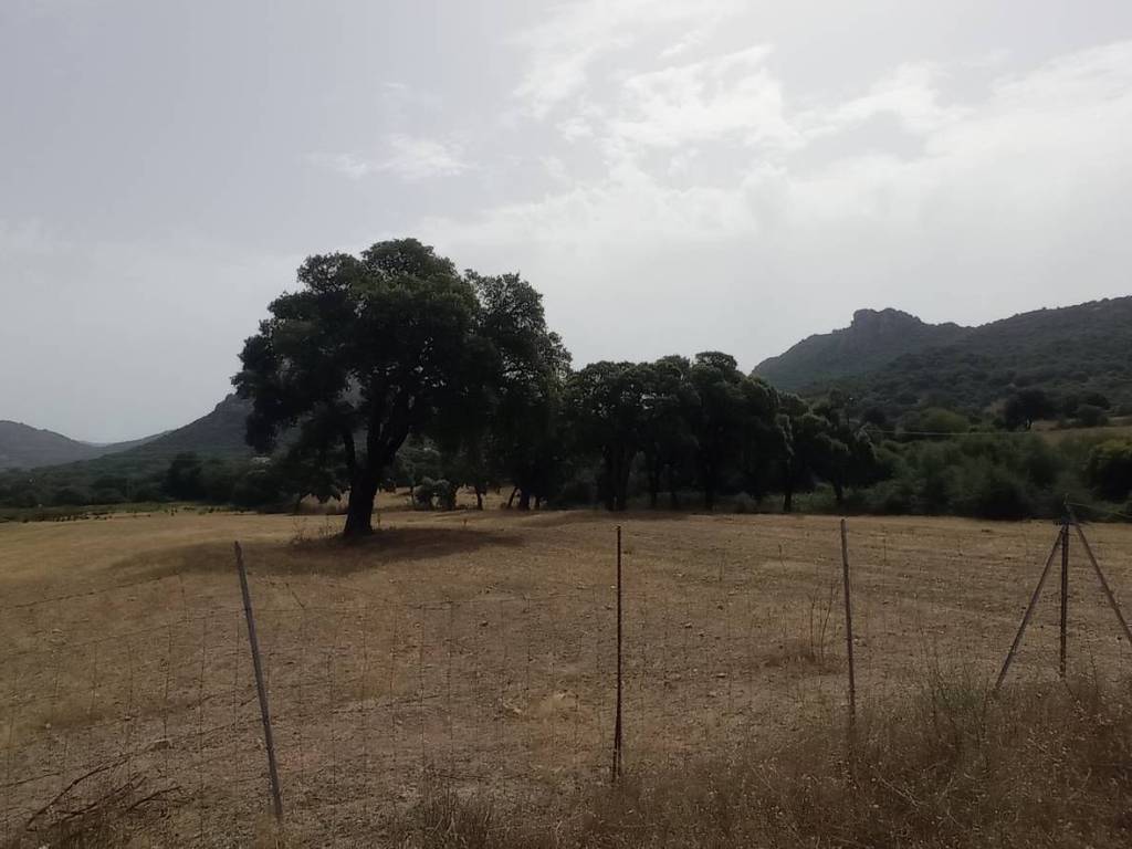terreno agricolo in vendita a Loiri Porto San Paolo in zona Trudda