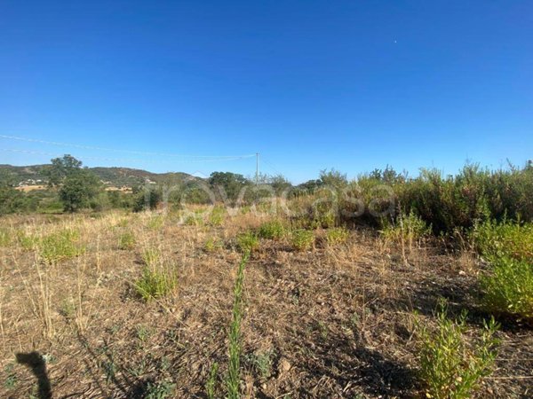 terreno agricolo in vendita a Loiri Porto San Paolo