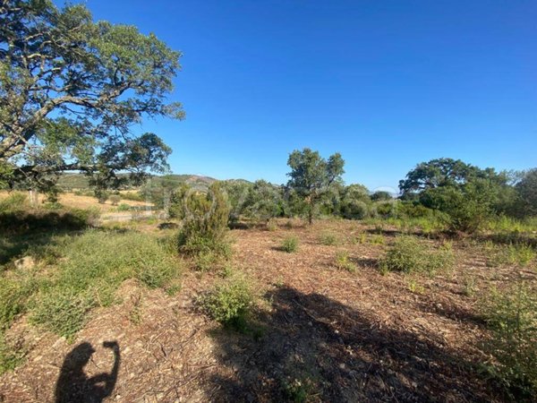 terreno edificabile in vendita a Loiri Porto San Paolo