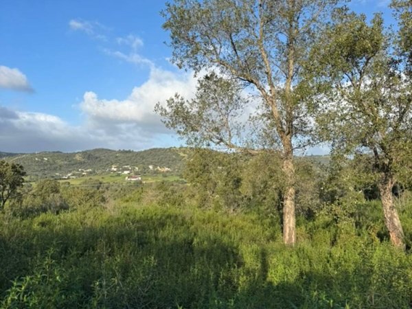 terreno agricolo in vendita a Loiri Porto San Paolo in zona Trudda