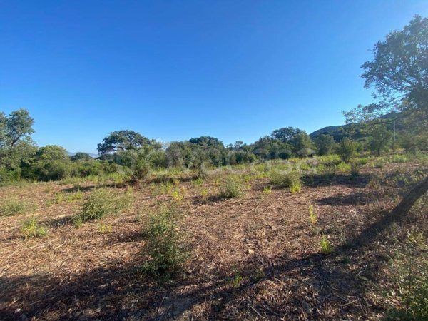 terreno edificabile in vendita a Loiri Porto San Paolo